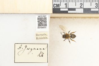 Media type: image;   Entomology 768631 Aspect: Labels